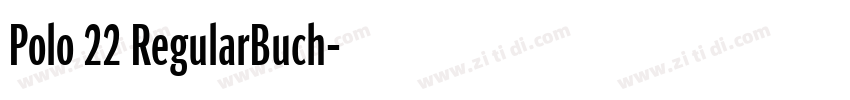 Polo 22 RegularBuch字体转换 Polo 22 RegularBuch字体转换